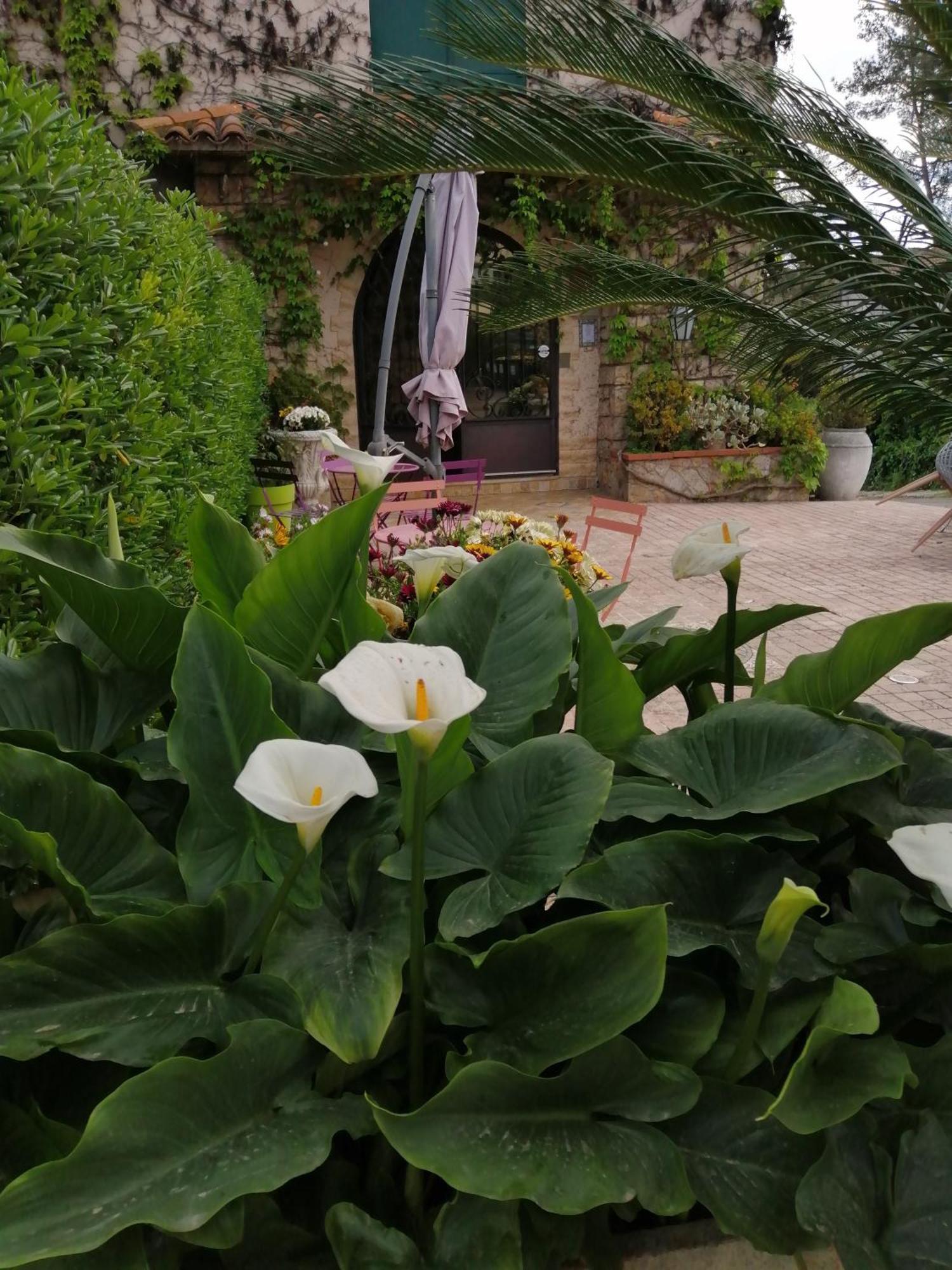 Auberge Les Aromes Grasse Exterior photo